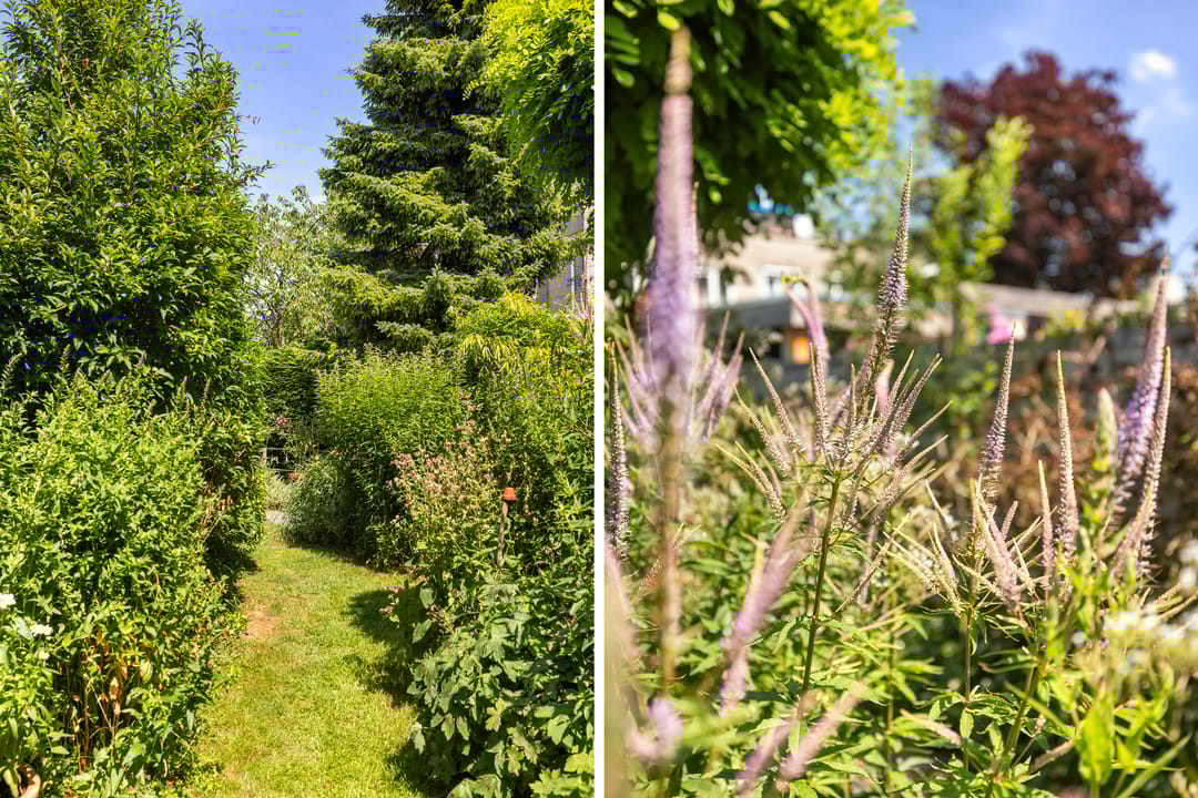 Foto 17 van Palissander 165