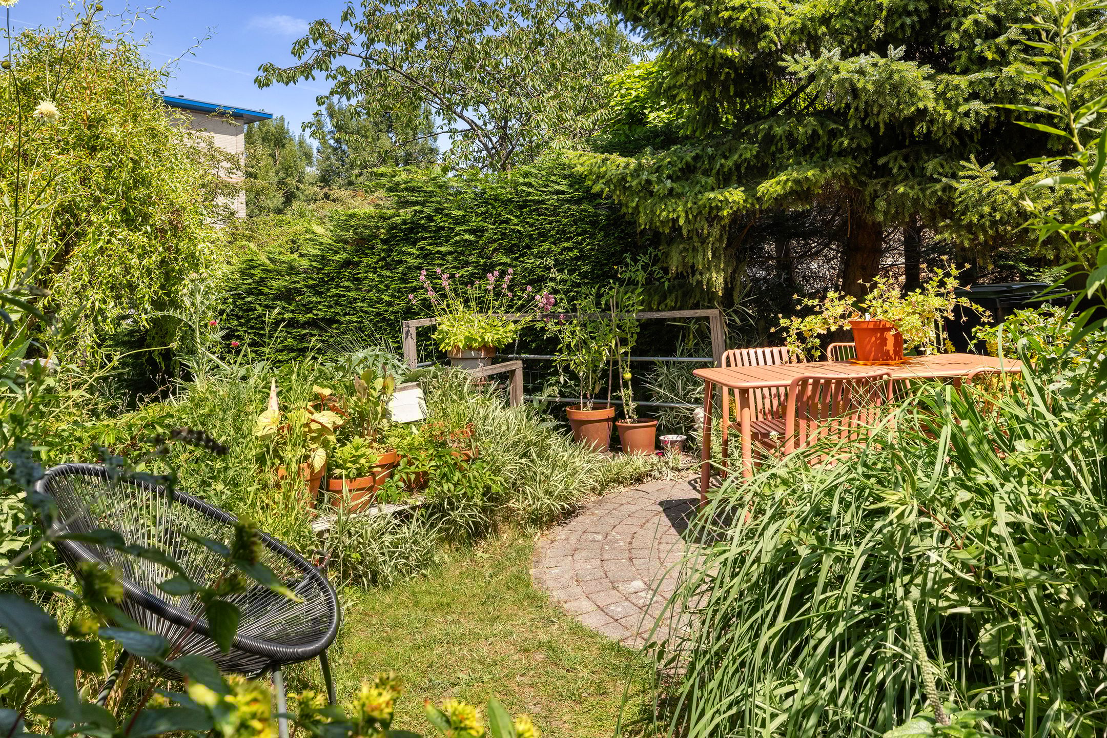 Foto 3 van Palissander 165