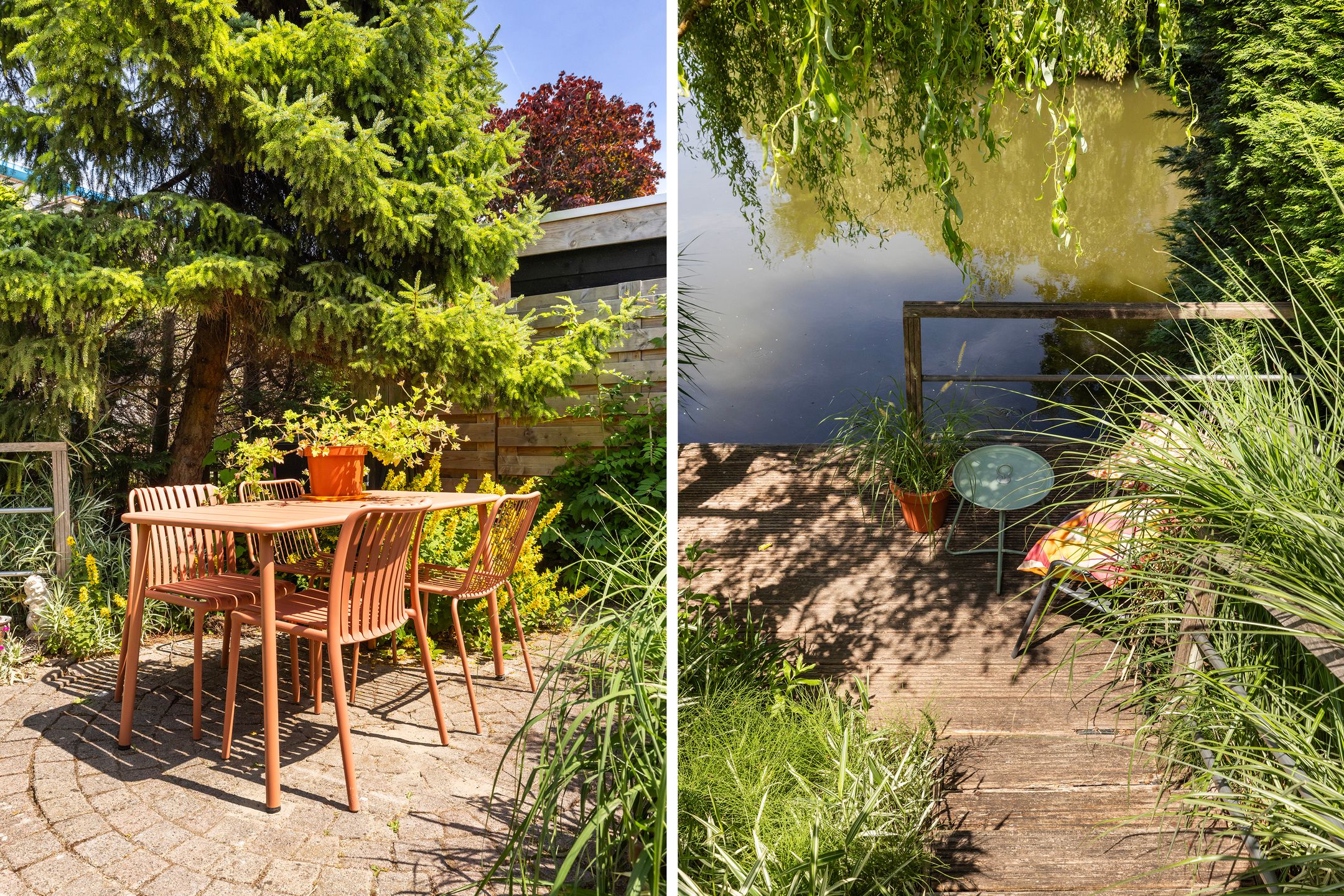 Foto 18 van Palissander 165