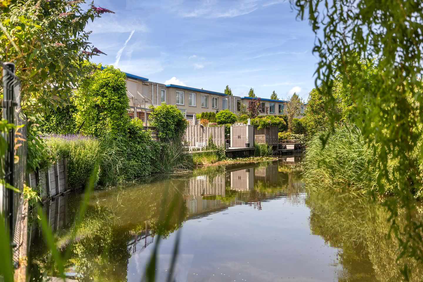 Foto 4 van Palissander 165