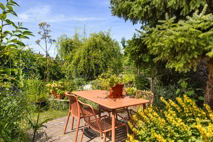 Foto 19 van Palissander 165