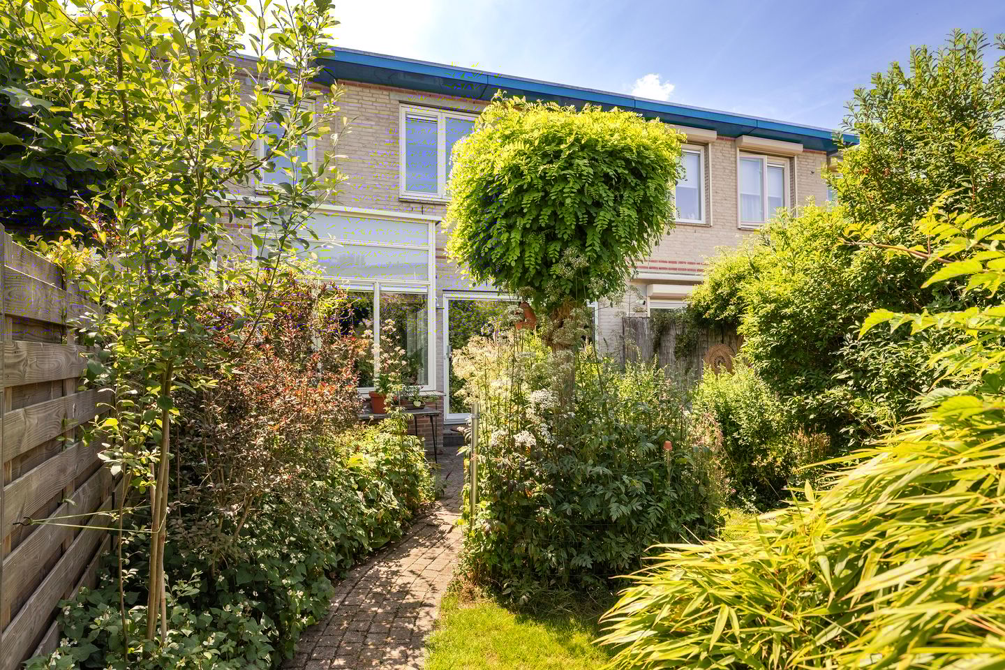 Foto 20 van Palissander 165