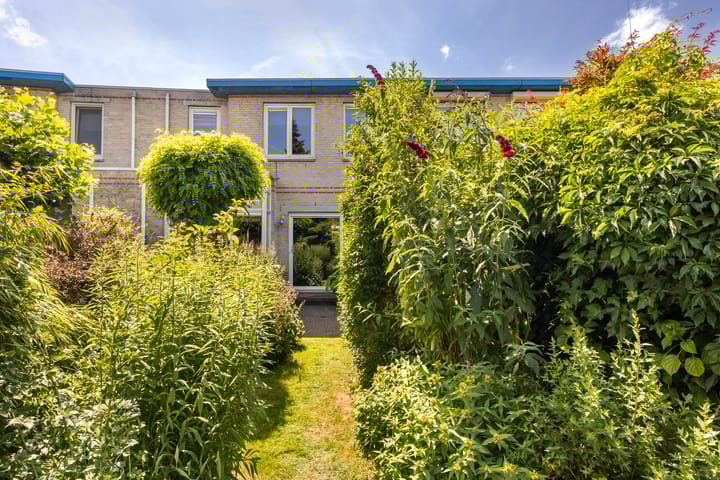 Foto 21 van Palissander 165