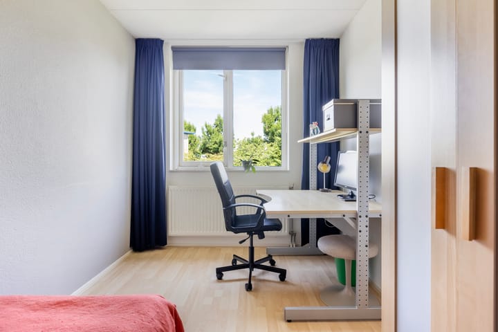 Foto 25 van Palissander 165