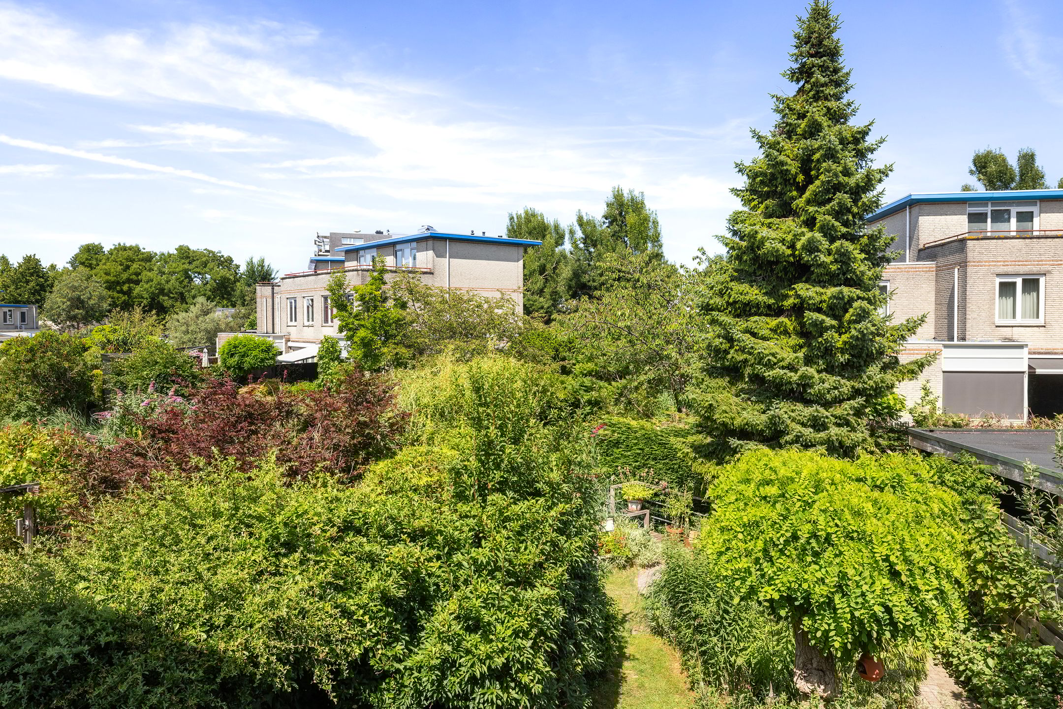 Foto 33 van Palissander 165