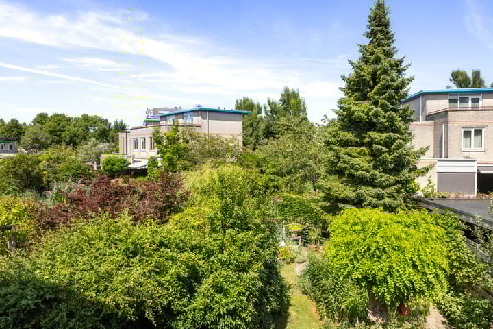 Foto 33 van Palissander 165