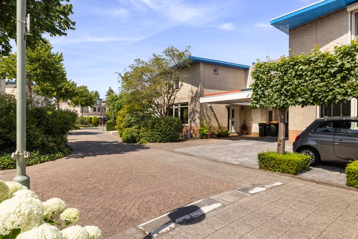 Foto 35 van Palissander 165