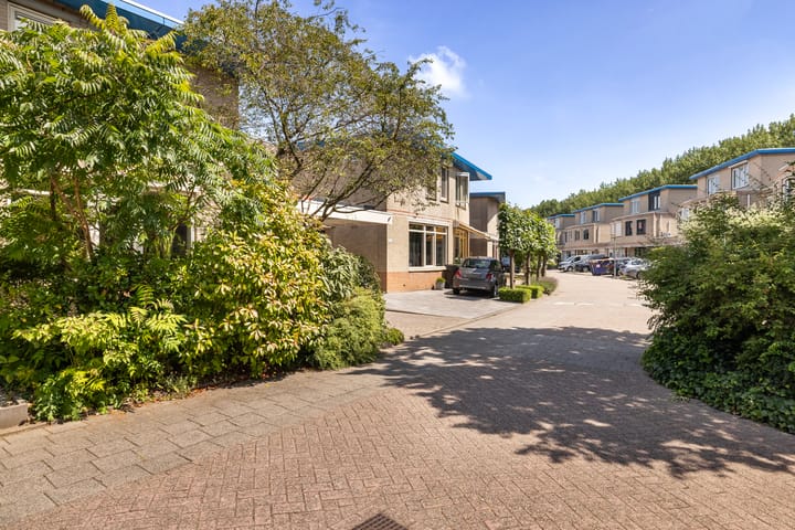 Foto 36 van Palissander 165