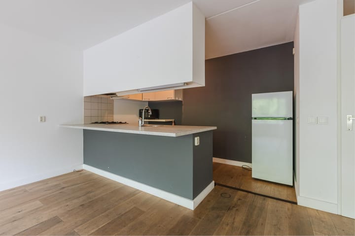 Foto 5 van Piusstraat 60-C