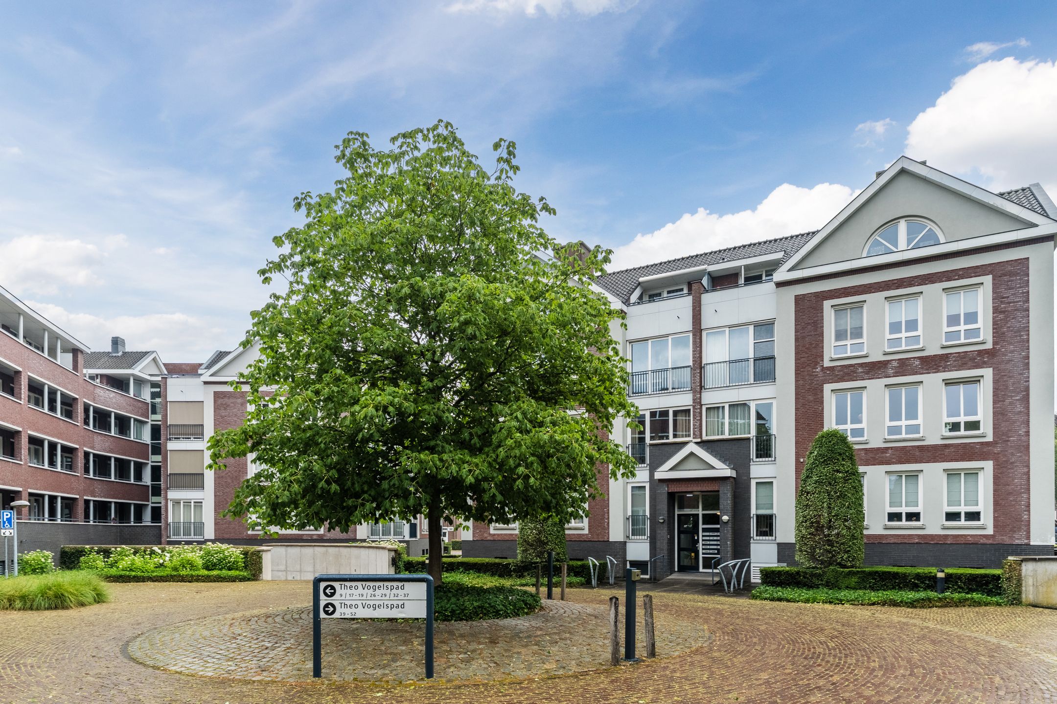 Foto 36 van Theo Vogelspad 40