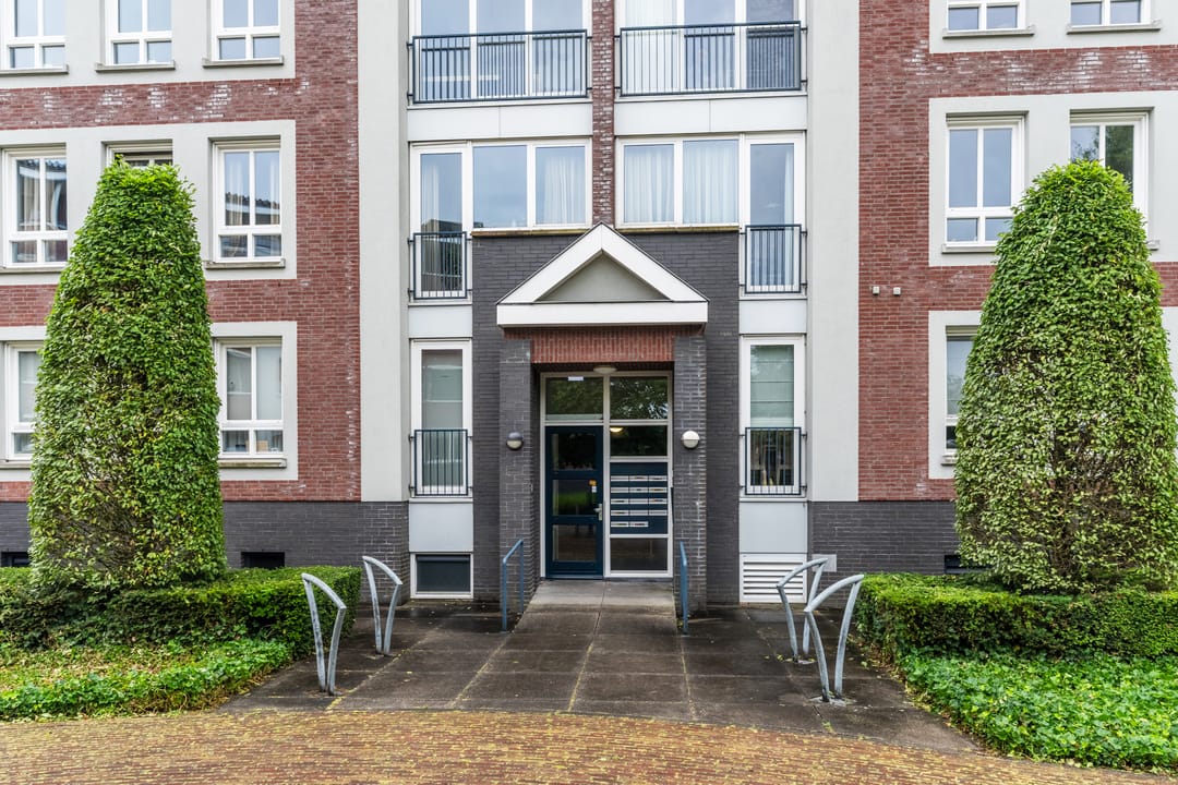 Foto 38 van Theo Vogelspad 40