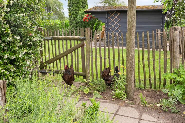 Foto 39 van Haarstraat 20