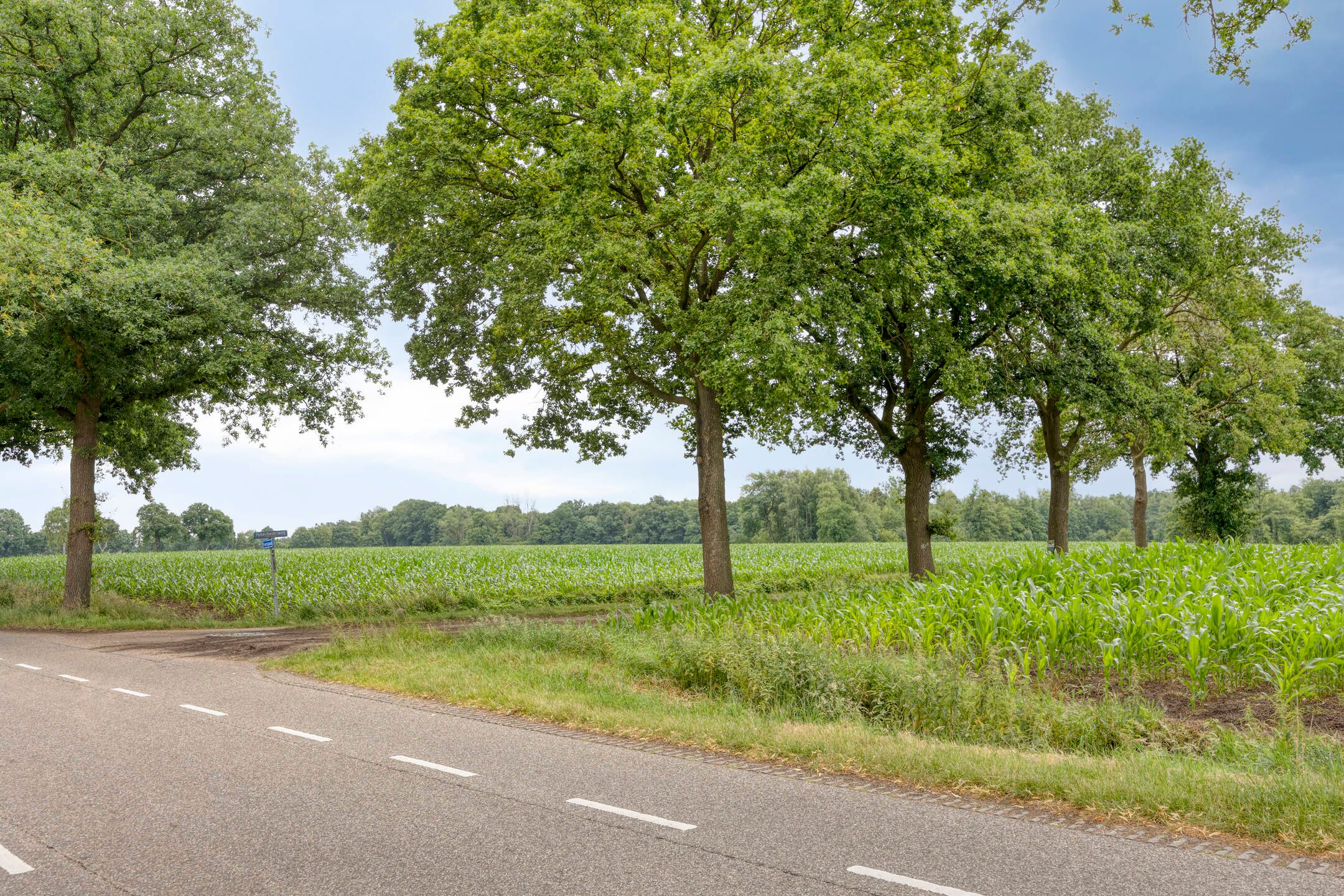 Photo 42 of Haarstraat 20