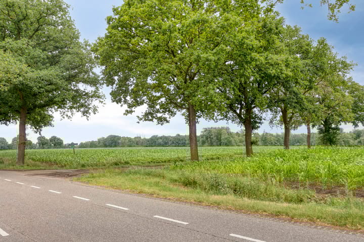 Foto 42 van Haarstraat 20