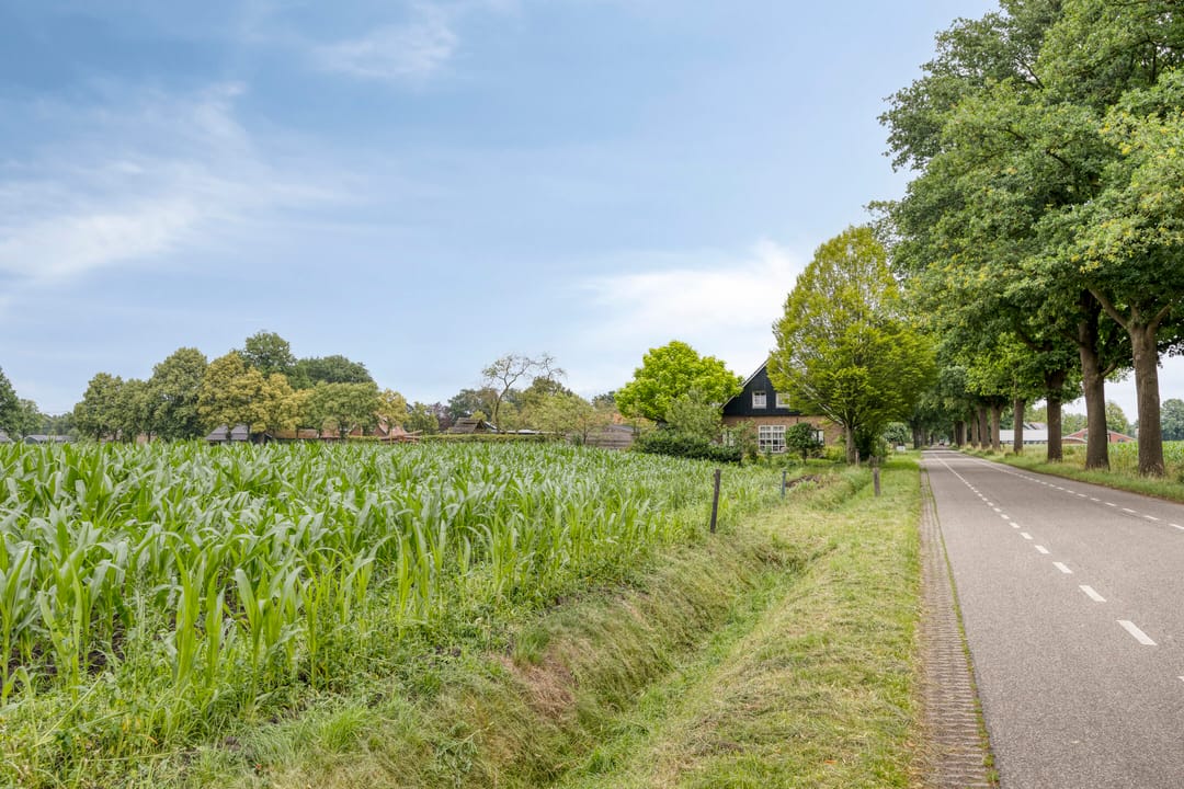 Photo 41 of Haarstraat 20