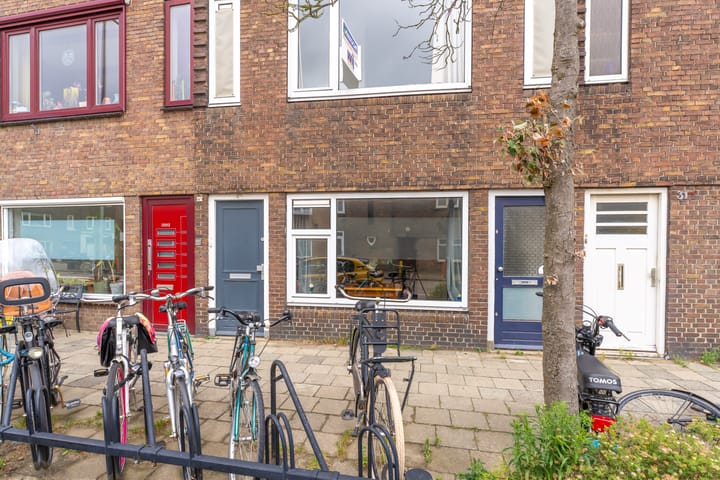 Foto 1 van Laan van Nieuw-Guinea 33