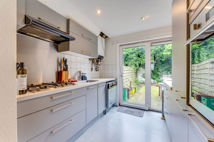 Foto 8 van Laan van Nieuw-Guinea 33