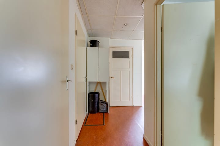 Foto 18 van Laan van Nieuw-Guinea 33