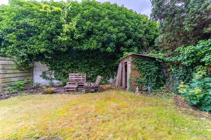 Foto 19 van Laan van Nieuw-Guinea 33