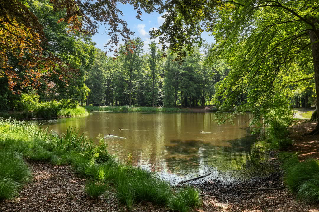 Foto 46 van Kerkstraat 32