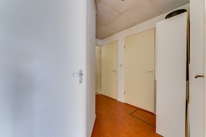 Foto 17 van Laan van Nieuw-Guinea 33