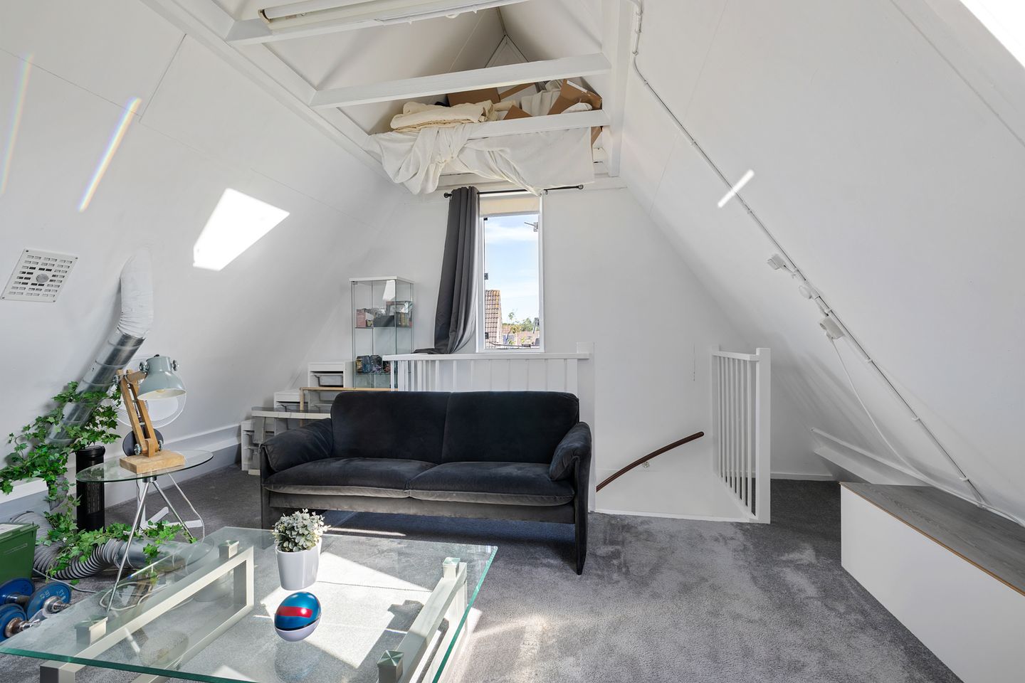 Foto 29 van Clemenswerth 2