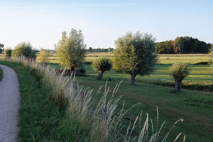 Photo 6 of Carry Pothuiskade 57