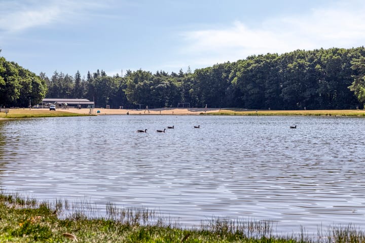 Photo 30 of Patrijslaan 4-H47