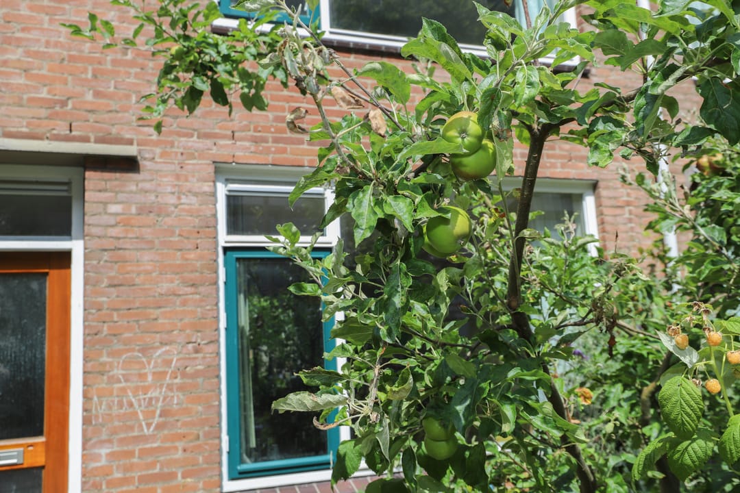 Foto 47 van Vlietstraat 55