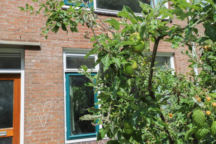 Foto 47 van Vlietstraat 55