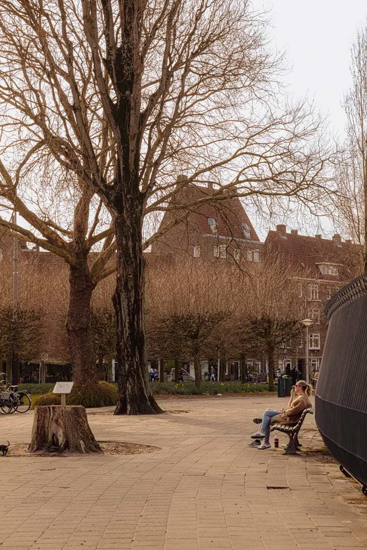 Foto 34 van Milletstraat 19-3