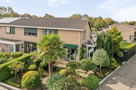 undefined main image