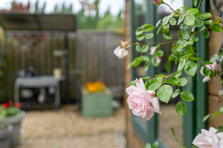 Foto 24 van Moderatostraat 28