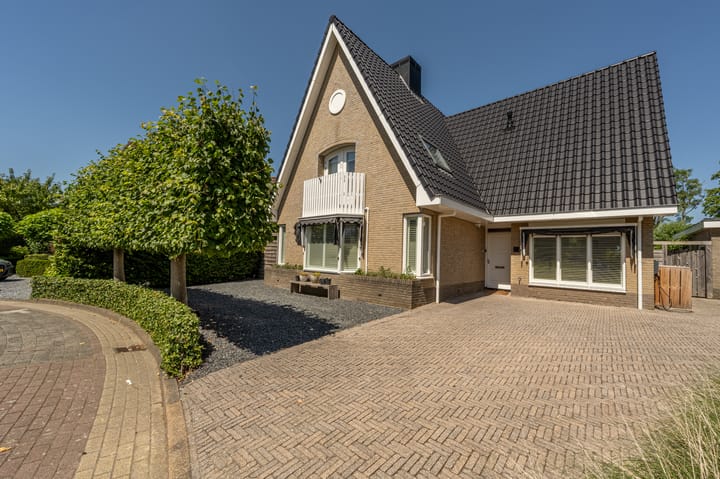 Foto 2 van Mandoline 9