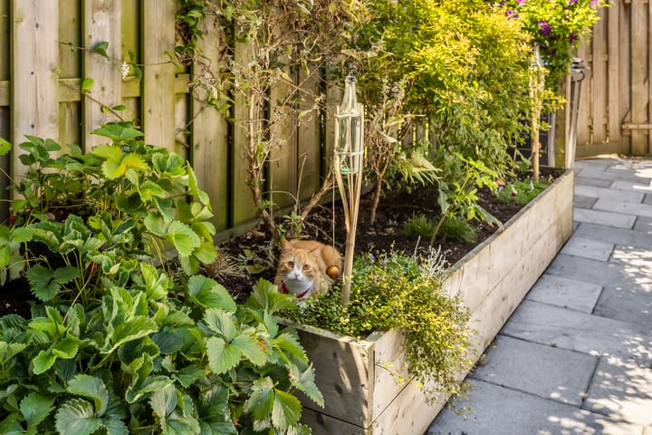 Foto 20 van Lindenhof 22