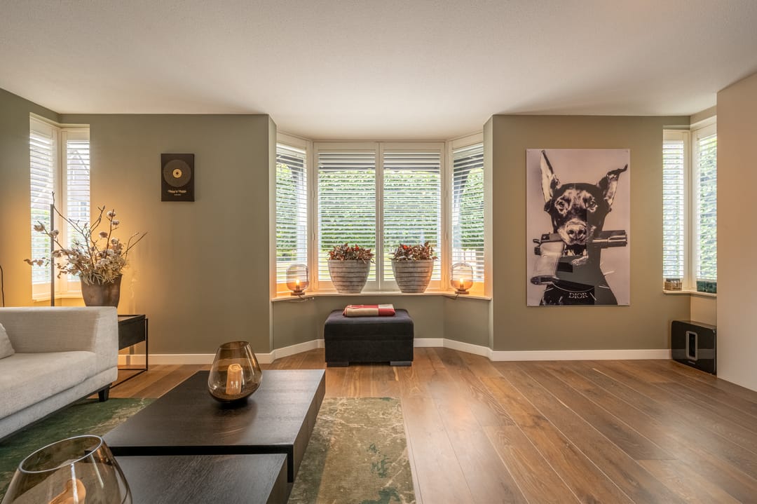 Foto 11 van Mandoline 9