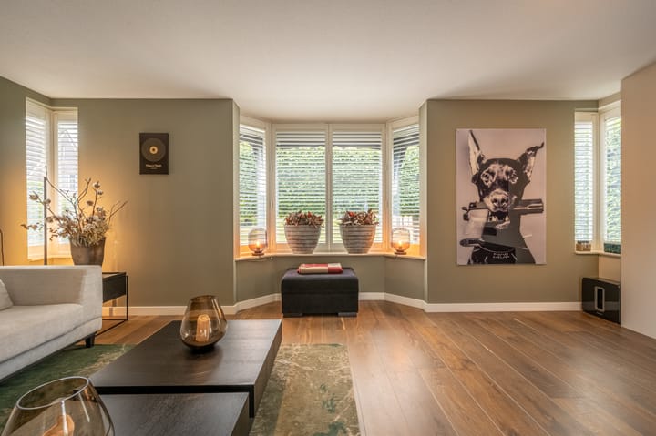 Foto 11 van Mandoline 9