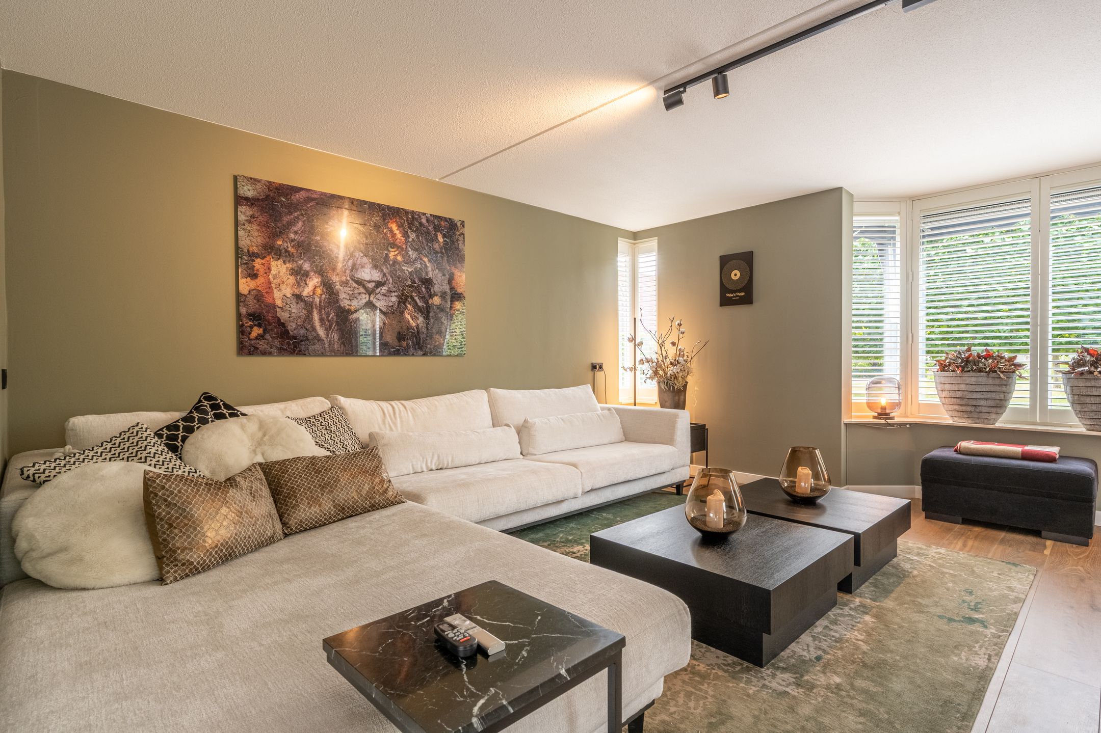 Foto 12 van Mandoline 9