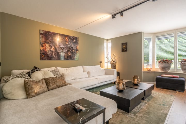 Foto 12 van Mandoline 9