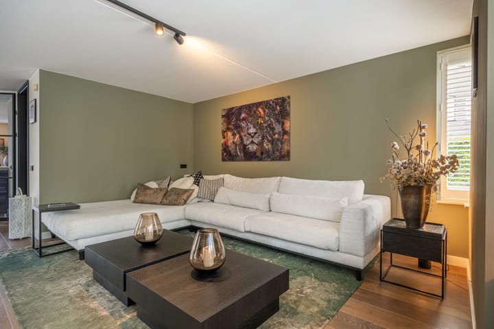 Foto 14 van Mandoline 9