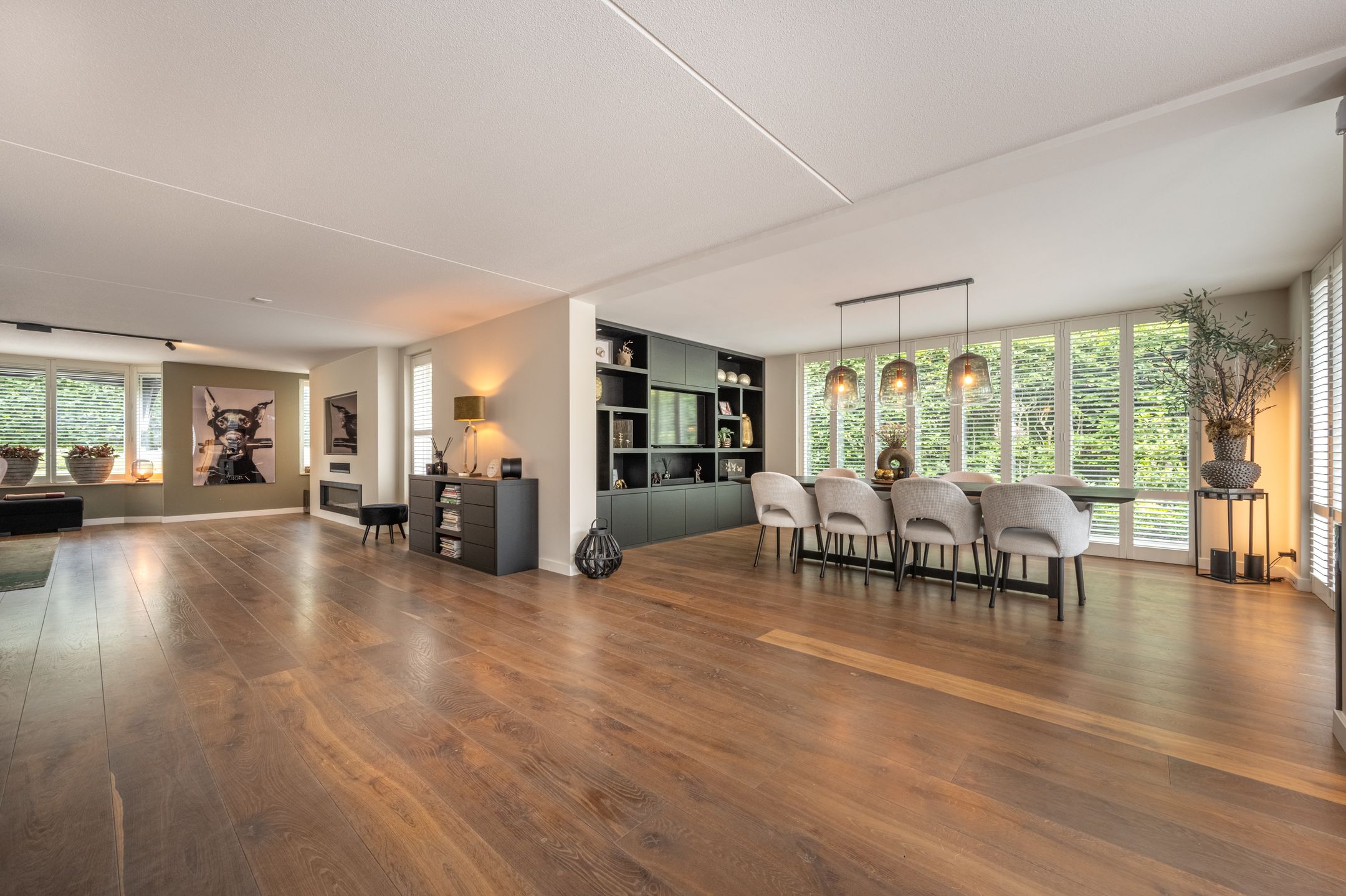 Foto 18 van Mandoline 9