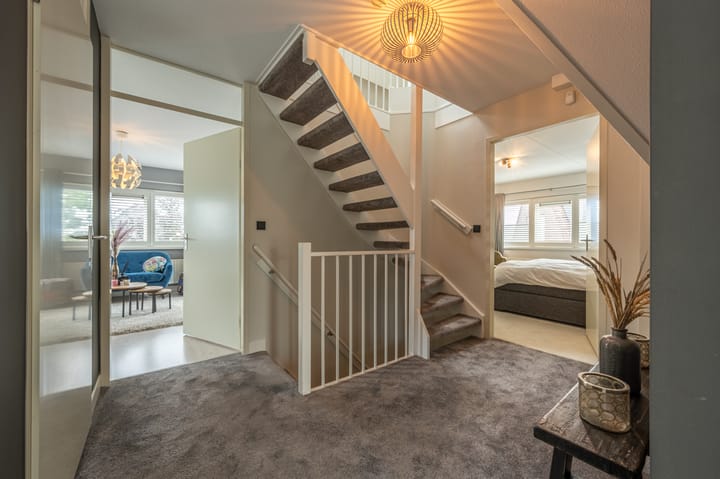 Foto 29 van Mandoline 9