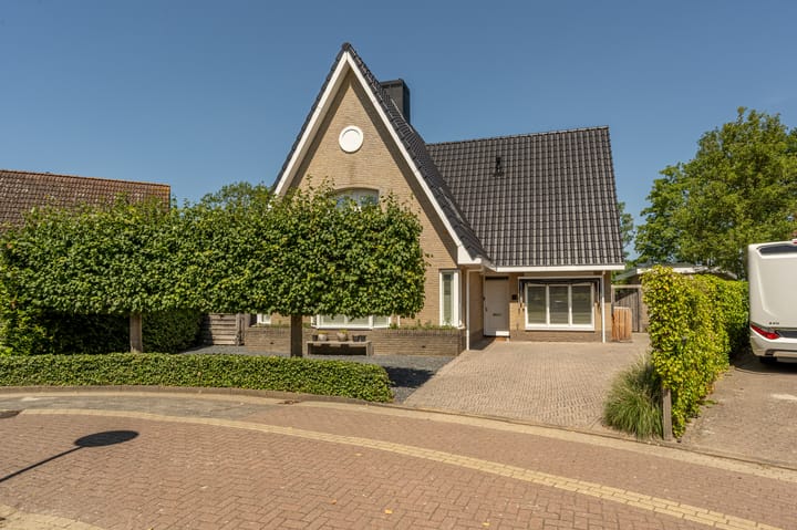 Foto 55 van Mandoline 9