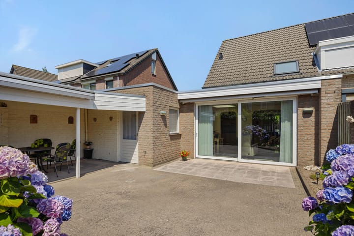 Foto 5 van Kleine Vos 4