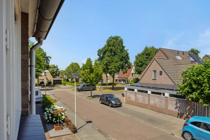 Foto 38 van Kleine Vos 4