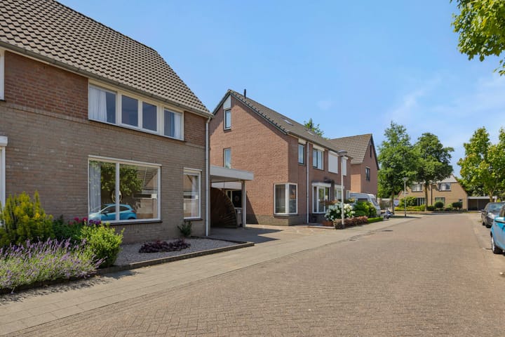 Foto 41 van Kleine Vos 4