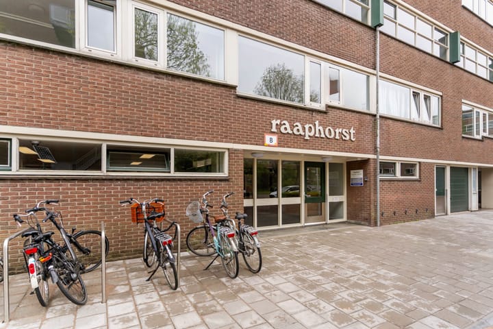 Foto 4 van Raaphorst 59