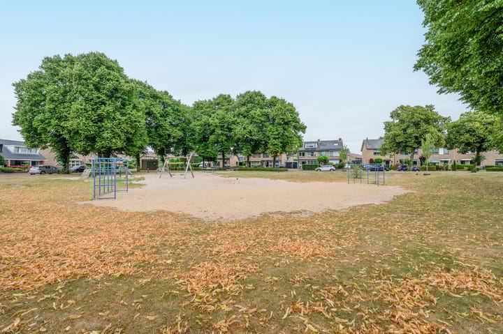 Foto 47 van Potgieterstraat 53