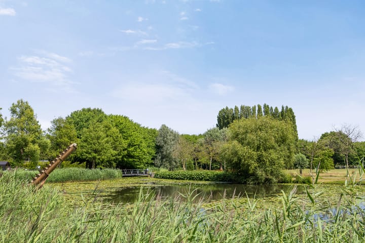 Foto 4 van Philippus de Montestraat 50