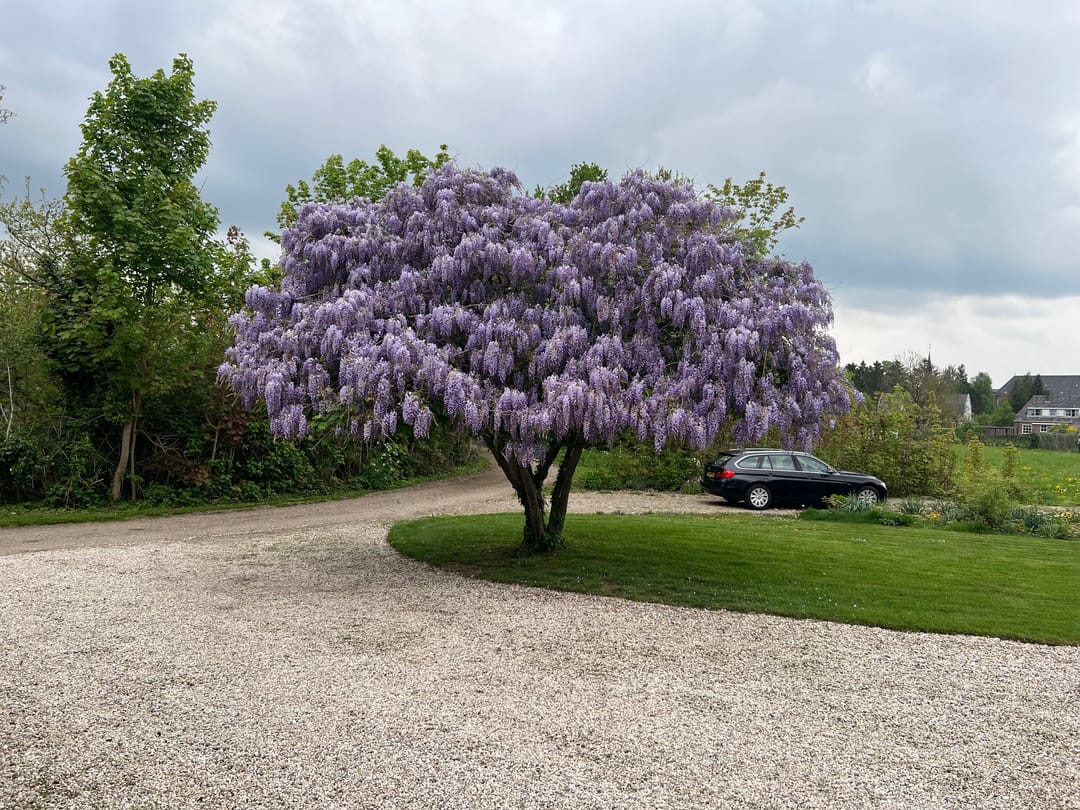 Foto 83 van Schoolstraatje 2